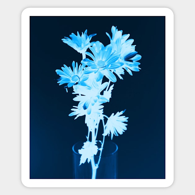 Cyanotype Art Printing Blue Flowers Daisy Photography Sticker by PodDesignShop